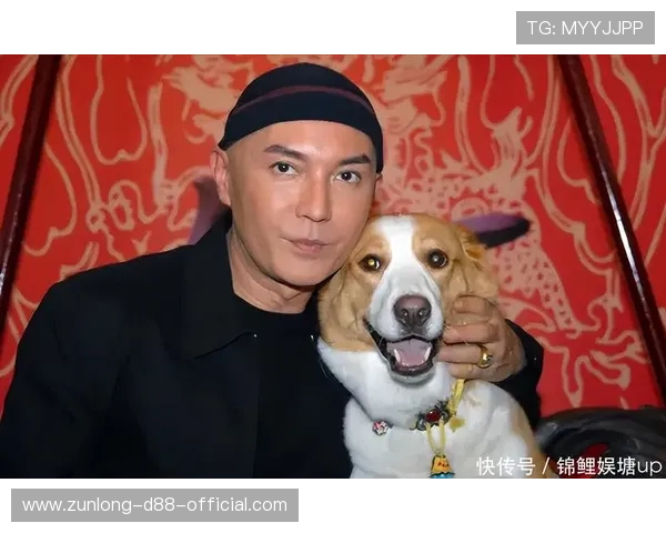 尊龙用现金玩一下：明星生活中的现金娱乐新体验