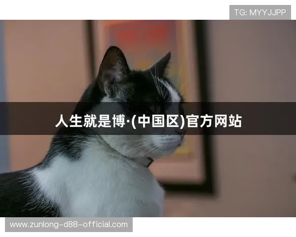 尊龙人生就是博首页安全保障措施全面解析，确保玩家游戏体验无忧