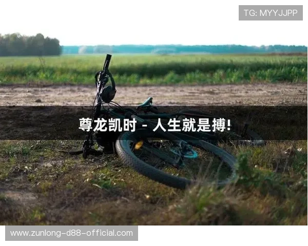 尊龙凯时人生就是博：从游戏体验中汲取人生决策的宝贵经验