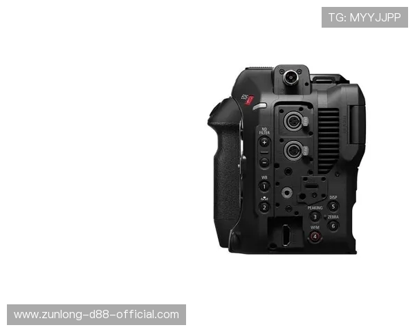 解决Z6尊龙在线登录入口无法登录问题的实用技巧与常见故障排查